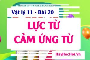 Lực từ, Cảm ứng từ là gì, Công thức cách tính lực từ và quy tắc Bàn tay trái - Vật lý 11  bài 20